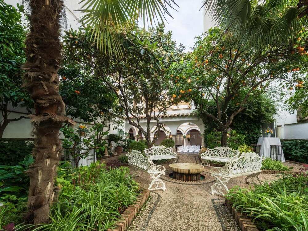 Garden with orange trees at the hotel in Córdoba